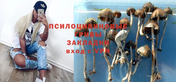 винт Магас