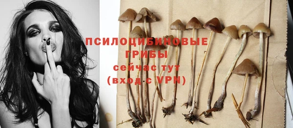гидропоника Майский